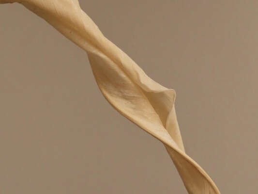 - Basic Rules for Lighting: Photographers' Guide 2 - post57 copyright