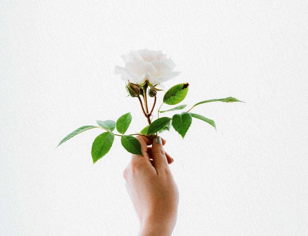 - Can You Imagine Your Life Without Modern Art? 1 - post2 copyright