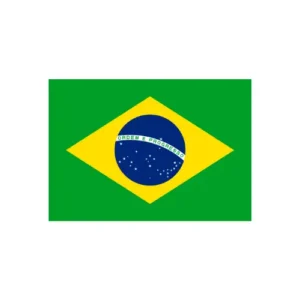 Brazil Marketing Services