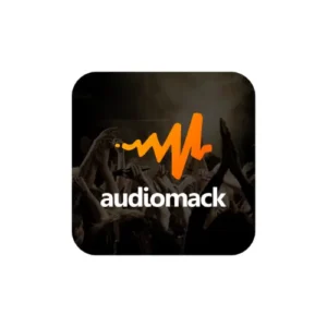 Buy Audiomack Services